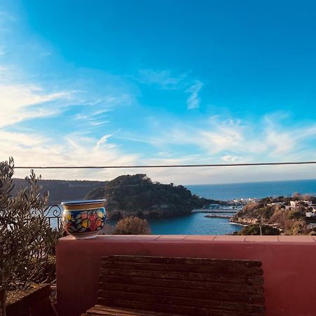Sole Chiaro Home Procida Bagian luar foto