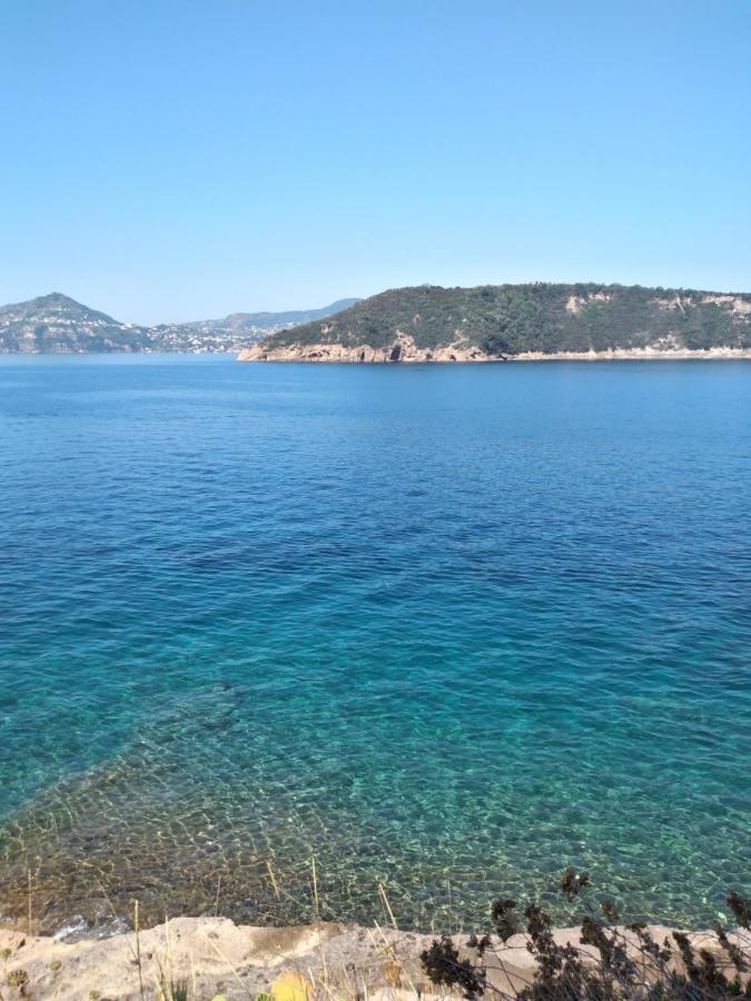 Sole Chiaro Home Procida Bagian luar foto